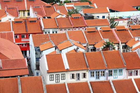 bahan bangunan atap rumah Essential Roofing Materials